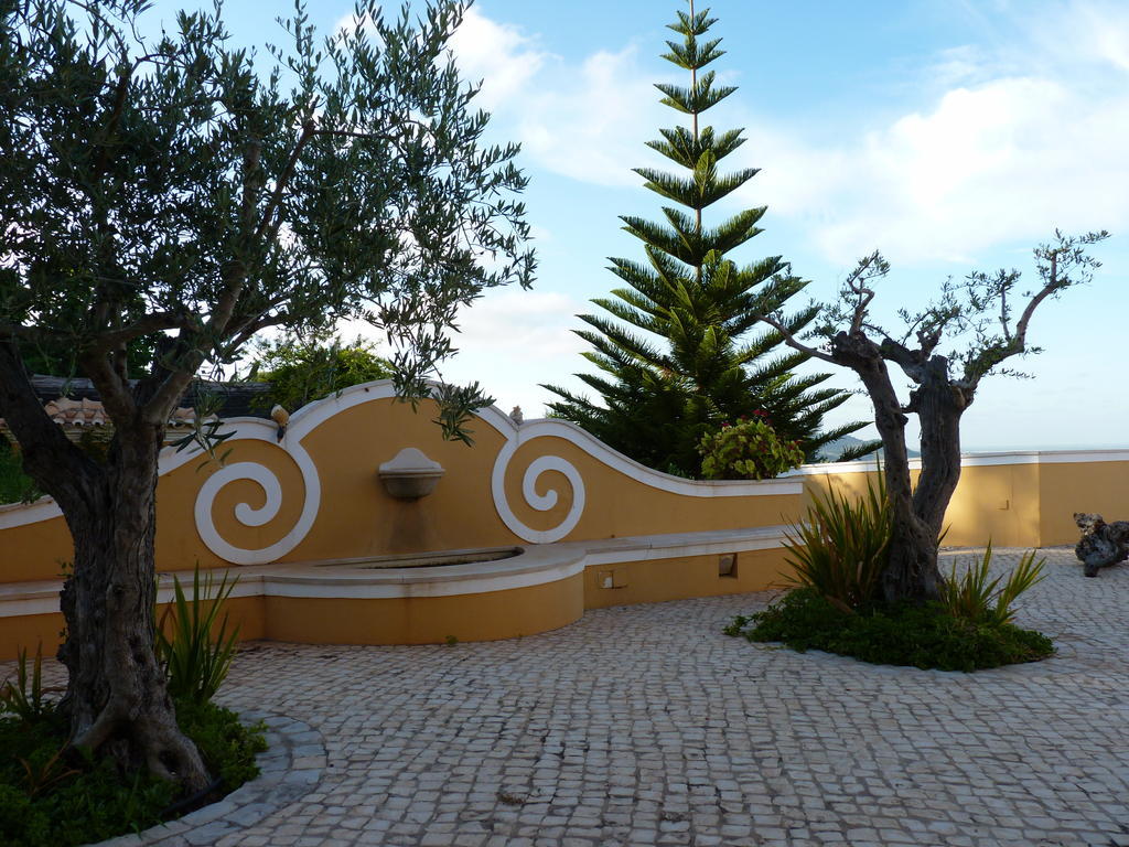 Casal Das Oliveiras Setúbal Exteriér fotografie
