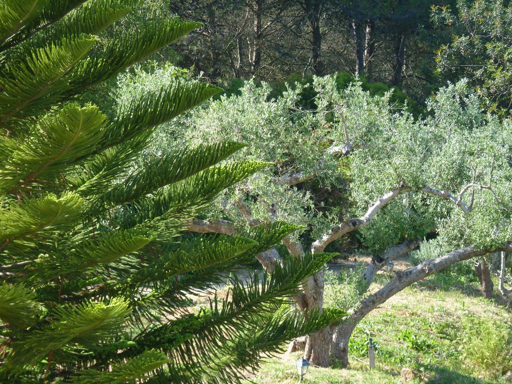 Casal Das Oliveiras Setúbal Exteriér fotografie