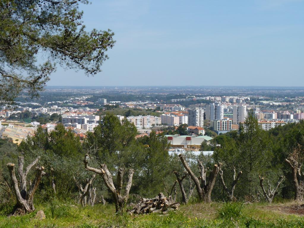Casal Das Oliveiras Setúbal Exteriér fotografie